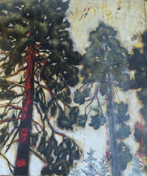 Artist: Charlie Barr, Title: Sunlit Tree - click for larger image