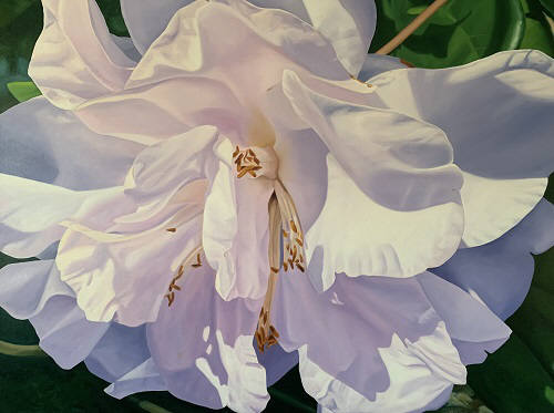 Artist: Debbie Daniels, Title: Camellia - click for larger image