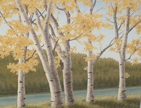 Artist: Doug Martindale, Title: Looking Through Aspens - click for larger image