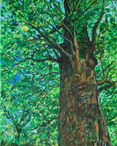 Artist: Pat Tolle, Title: Mighty Oak - click for larger image