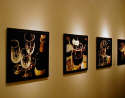 Gallery Event Photos - Objects of Desire by Ray Pelley