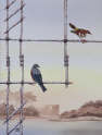 Milo Duke - Bluebird and Warbler - (L)  Diptych with Yellow Throat