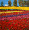 Pat Tolle - Tulip Fields