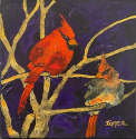 R. John (Bob) Ichter - Male and Female Cardinals